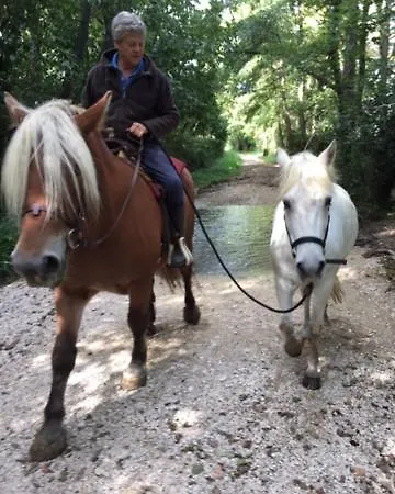 Holiday home D'ayran Saint-Quentin-la-Poterie