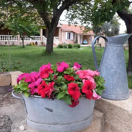 D'ayran Saint-Quentin-la-Poterie